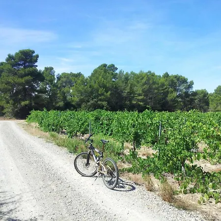 Les Pins - Domaine Russol
