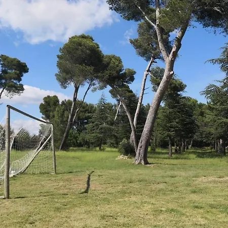 Les Pins Domaine Russol Holiday home