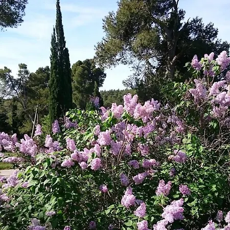 Les Pins Domaine Russol Holiday home *