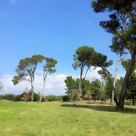 Les Pins - Domaine Russol Сasa de vacaciones