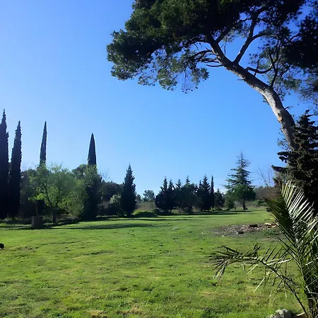 Les Pins - Domaine Russol * Laure-Minervois