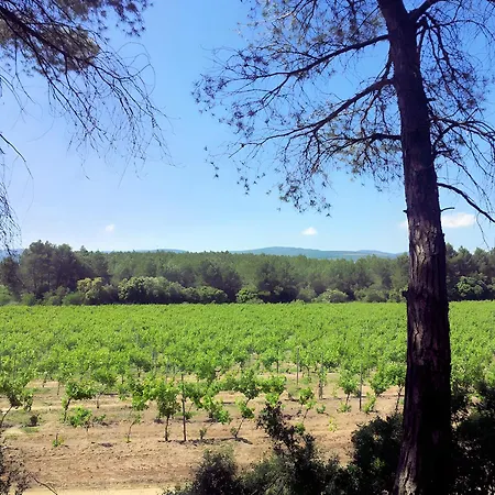 Сasa de vacaciones Les Pins - Domaine Russol Laure-Minervois