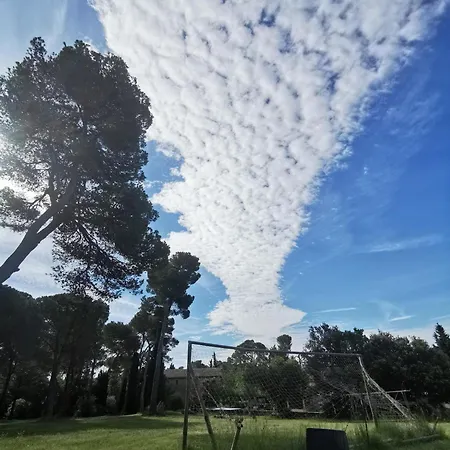 Les Pins - Domaine Russol *