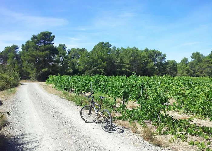 Les Pins Domaine Russol