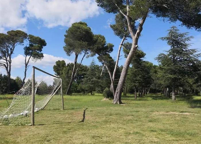 Les Pins Domaine Russol Дом отдыха