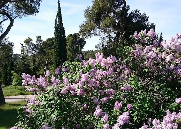 Les Pins Domaine Russol Дом отдыха *
